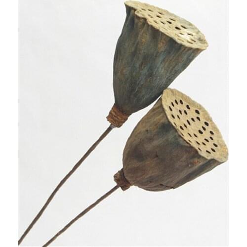 60CM Dried Flower Palm Fan Leaf Plants Leaves Lotus Pine Cones Eternal Flower Home Vase Decor Wedding Arch Decor Arrangement