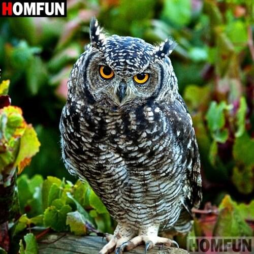 HOMFUN 5D DIY Diamond Painting Full Square/Round Drill "Animal owl" 3D Embroidery Cross Stitch gift Home Decor Gift A07912