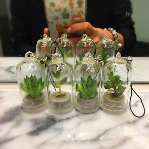 Succulents Pendant Simulation Plastic Bottle Terrarium Cactus Miniature Succulent Cactus Cell Phone Wearable Pendant Child Gifts