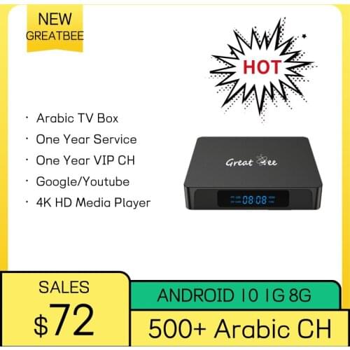 2021 bestseller Great bee tv box with remote control