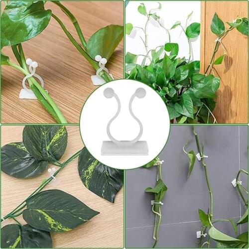 Plant Climbing Wall Self-adhesive Fastener Tied Fixture Vine Buckle Hook Garden Plant Wall Climbing Vine Clips Fixed Buckle#p3