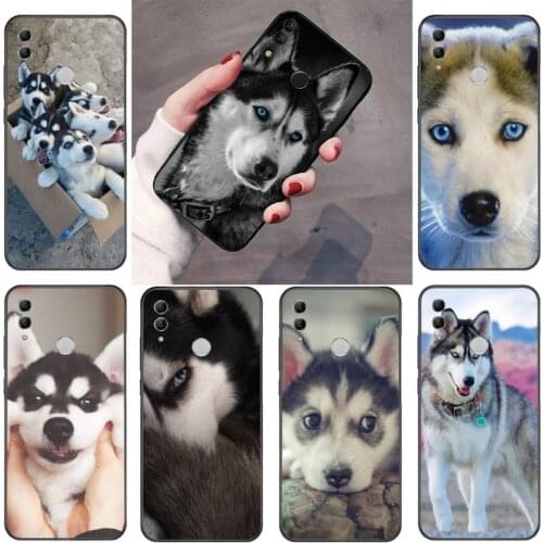 Husky Pet dog Cute animal black Phone Case Hull For Huawei P9 P10 P20 P30 Pro Lite smart Mate 10 Lite 20 Y5 Y6 Y7 2018 2019