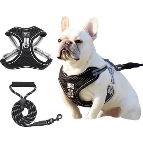 No-Pull Dog Harness with 2 Leash Clips Adjustable Soft Padded Large Dog Vest Reflective No-Choke Mesh Pet Vest Harness and Leash