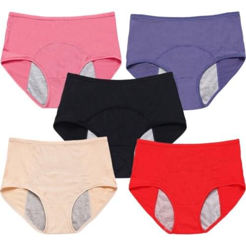 5 Pcs Menstrual Panties Women Leak Proof Period Briefs Sexy Mesh Breathable Physiological Underwear Lingerie Ladies