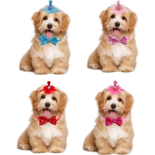Pet Birthday Cap Glitter Dog Birthday Hat Kitten Cone Hat With Collar Cat Dog Birthday Costume Sequin Design Headwear Cap