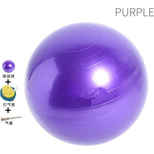 Sports Fitness Yoga Balls Bola Pilates Gym Balance Ball PVC Tasteless Thickened Explosion Proof Ball 55cm 65cm 75cm