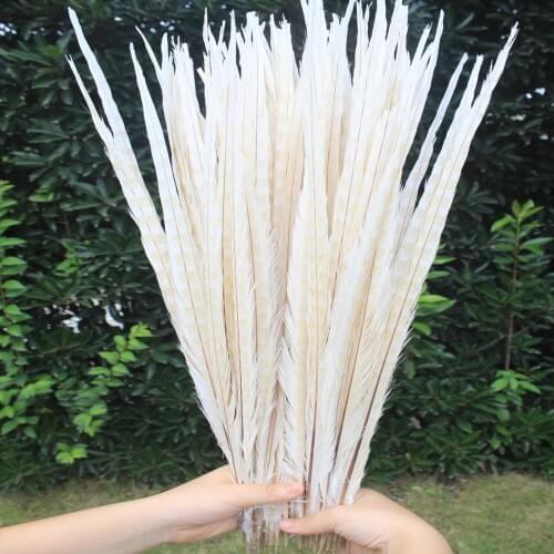 Hot 500 Pcs Pretty Wholesale Beige Pheasants Feathers 20-22inches/50-55cm Stage Performances Wedding Decoration Accessories