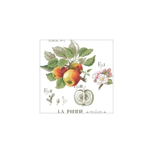 NN YIXIAO Counted Cross Stitch Kit Cross stitch RS cotton with cross stitch Shadow flower apple