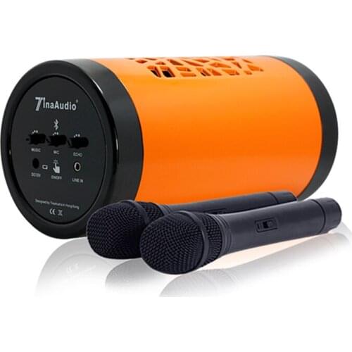 Portable Speaker With Wireless Microphone Tina 303 / phone karaoke speaker/smart phone soundbar