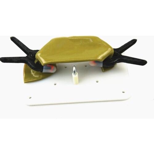 Intestinal Suture Training Model Bracket Clip Laparoscopic Surgery Training Practice equipment For Teaching