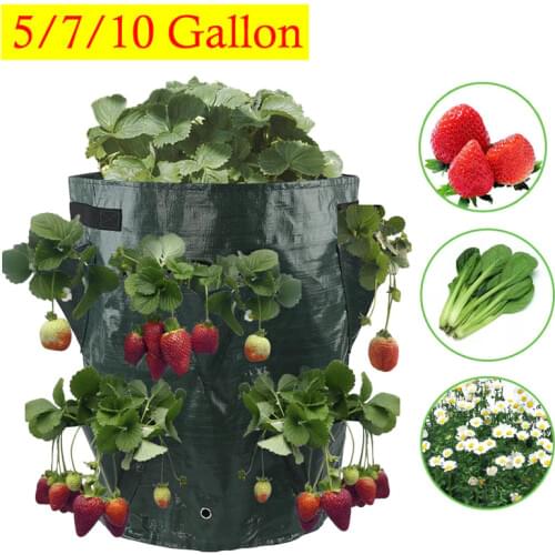 Strawberry Plant Growing Bag Tomato Grow Planting Root Bonsai Plant Pot Multi-mouth Container Bags 5/7/10 Gallons