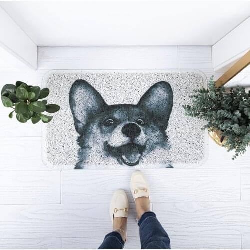 Pet Pattern Door Mat Porch Floor Mat Door Mat Pvc Silk Carpet Mat for Home Use Kitchen Anti-slip Entrance Doormat
