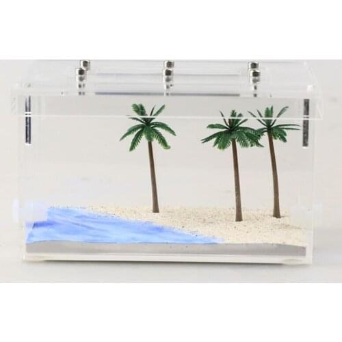 White Beach Feeding Area (Small Size) Ant Farm