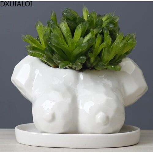 DXUIALOI modern minimalist creative white ceramic abstract body art flower pot succulent potted desktop green plant decoration