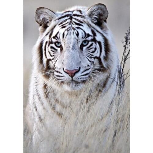 Needlework 5D Diy Diamond Painting Tiger Animal series Diamond embroidery Kits Mosaic Picture All Square Three Head Tiger