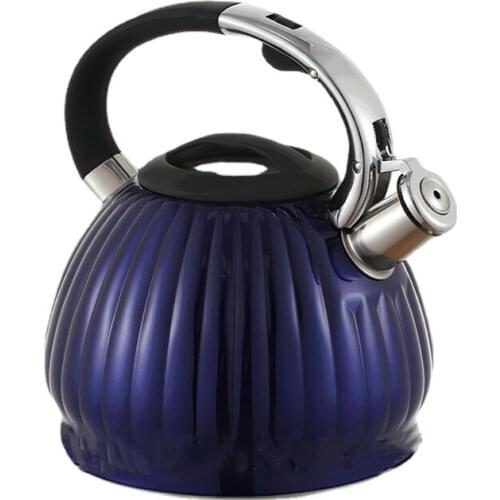 Whistle Kettle 3L Stainless Steel Tea Pot Large Purple Pumpkin Heat-Proof Handle Stove Top Food Grade Home Gas Induction Cooker
