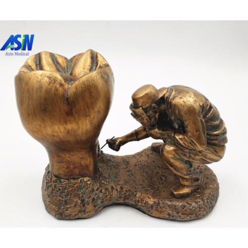 New Arrival Dental model copper material Copper statue of man and teeth tooth model dental pathology teeth model