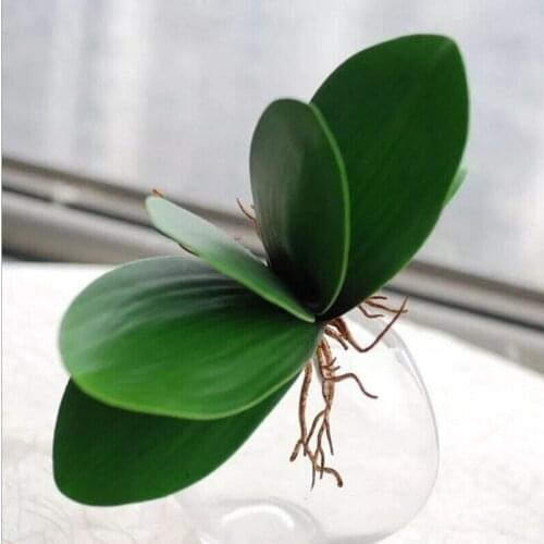 High Quality Simulation of the Phalaenopsis Leaf Potted Plants for Home Garden Decor Ornament Wedding Decoration Supplies