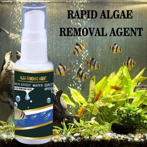 Algae Purifier Aquarium Safe Algae Remover Water Purification for Fish Tank Ponds fkxe
