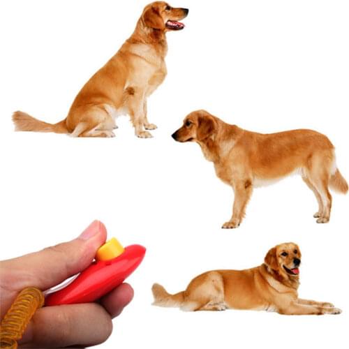 High Quality Universal Animal Pet Dog Cat Training Clicker Obedience Aid Wrist Strap Training Tools for Pet 1pcs