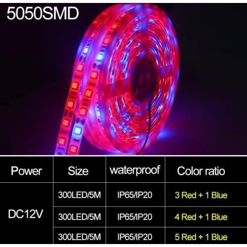 5050 LED Phyto Lamp 5 Meters Strip Light 60 LEDs/M Full Spectrum Fitolampy LED Grow Light Ribbon For Plants Flower Seeds Grow