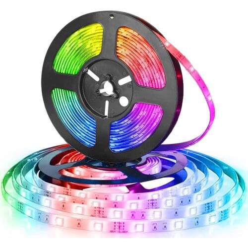 5M LED Strip Light 5050 2835 DC12V Neon Ribbon Waterproof Flexible LED Diode Tape 60LED/m SMD LED Strip for Home Decoration