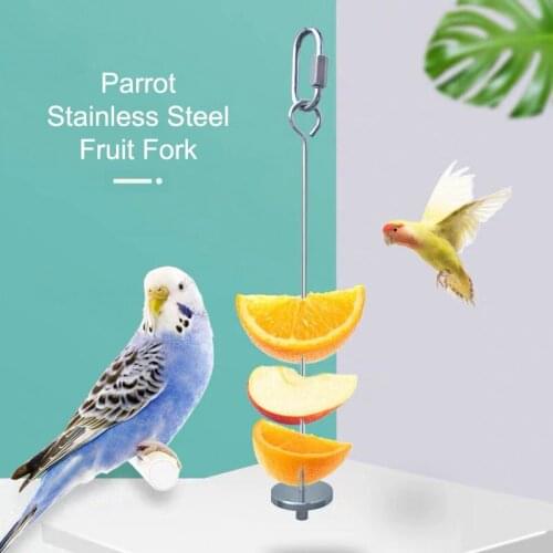 S/L Pet Food Hanging Tool Parrot Toy Stainless Steel Meat Food Holder Stick Fruit Skewer Treating Toy for Bird Cage Accessories