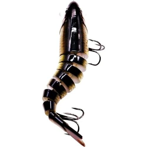 Fiscan Fishing Lure For Carp