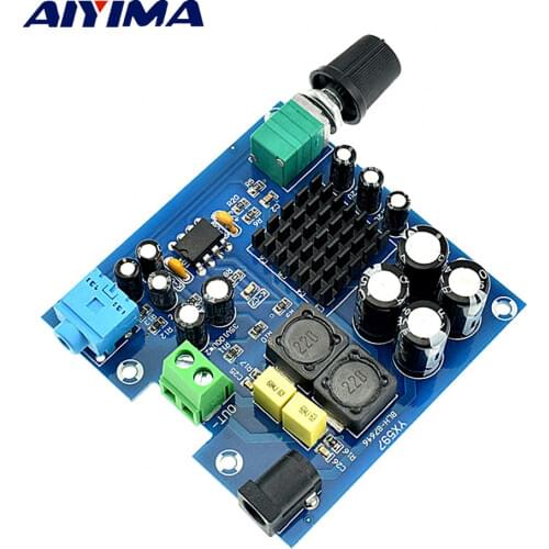 AIYIMA Amplificador Audio Subwoofer Mini Power Amplifier TPA3116D2 100W Mono Digital Home Amplifiers DIY For Music Home Theater