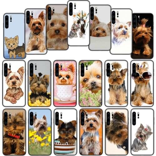 Terrier Dog Puppy Soft Cover Case for Huawei P40 P30 P20 P10 Lite Pro Nova 5t