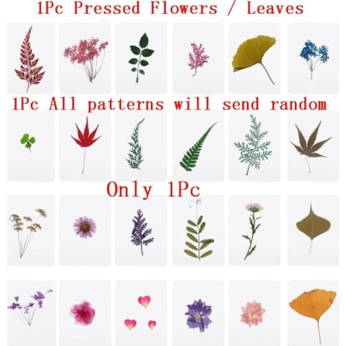 1Pc Only Mix Pressed Flower Leaves Plant Specimen Fillers for Epoxy Resin Jewelry Making Send Random