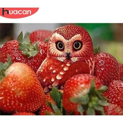 HUACAN Diamond Embroidery Animal Cross Stitch Diamond Painting Owl Strawberry Full Square Round Diamond Mosaic Handmade Gift