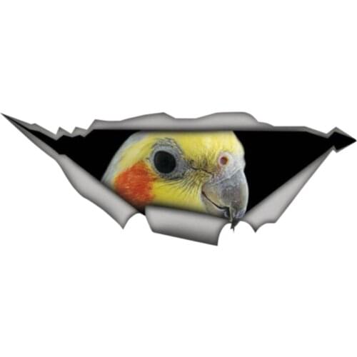 13cm x 5cm Cockatiel parrot decal Sticker Torn Metal Decal Wild Animal Car Stickers Window Bumper 3D Car Styling Car accessories
