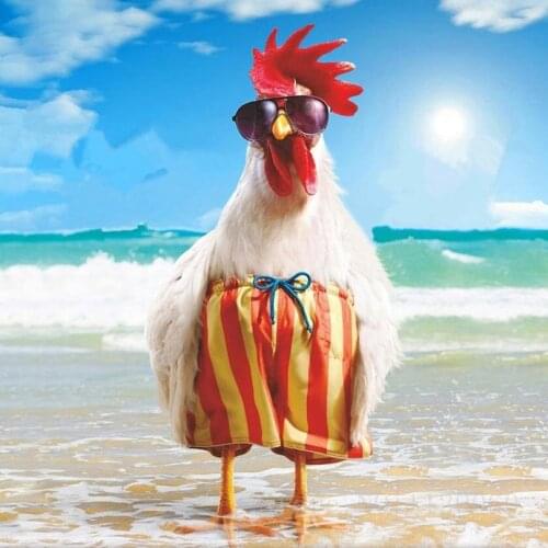 The swimming cock on beach picture 5d Diamond embroidery Diamond Painting Diamond Mosaic Crafts Gifts pattern rhinestones HL223