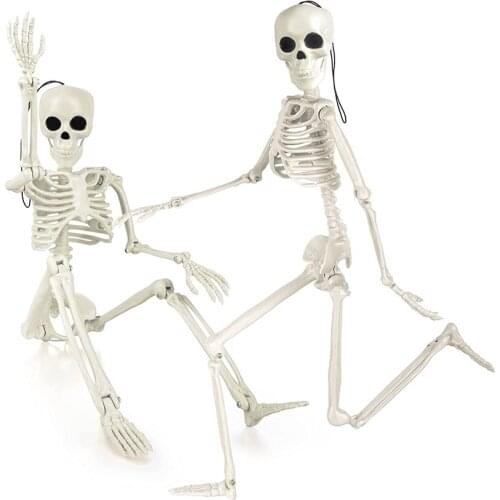 1pc Halloween Skeleton People Active Model Anatomy Skeleton Model for Medical Study Supplies Halloween Party Desk Decoration