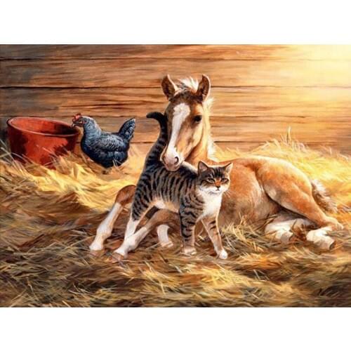 5D Diy Diamond Painting Horse Cat Chicken Cross Stitch Round Diamond Mosaic Craft Full Diamond Embroidery Needlework Paintings