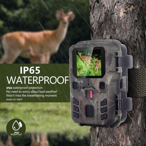 AS FISH Night-vision Devices