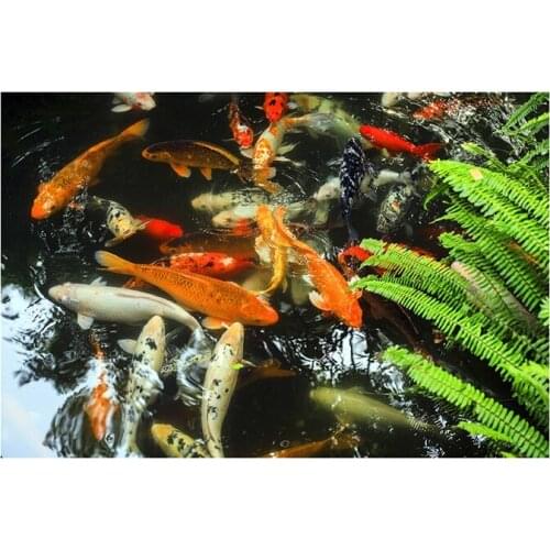 Practical DIY Diamond Painting Full Diamond Round Koi Group Cross Stitch Embroidery Home Decoration