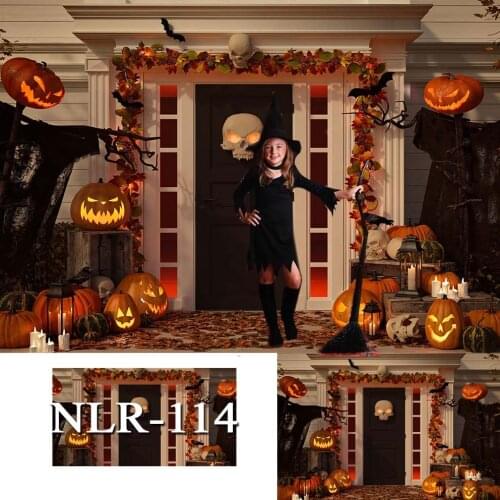 Halloween Backdrop Tombstone Castle Pumpkin Lantern Moon Bat Baby Birthday Photography Background for Photo Studio Photophone