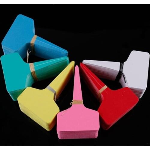 10PCS Colorful Plant Markers Garden Bonsai Succulent Seedings Tags Sign PVC Gardening Labels Stake On Soil Paint Sticks