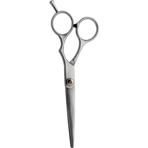 6 inch Straight Pet Hair Cutting Scissors Stainless Steel Dog Grooming Tool Anti Rust Hairdressing Thinning Scissors for Dogs