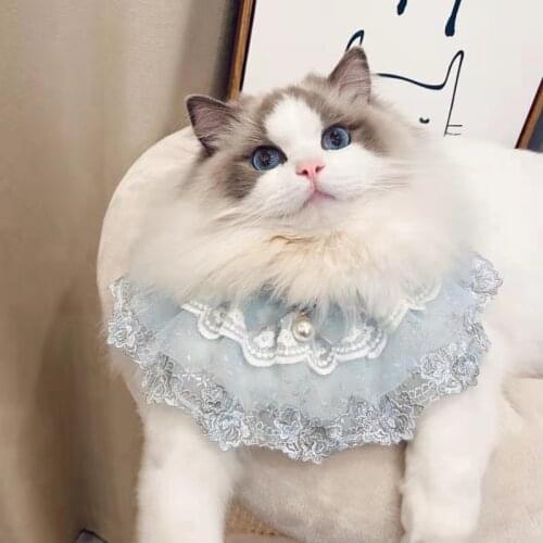 2021 Cat Handmade Blue Lace Bow Bib Tie Pet Accessories Lace Dog Necklace Dogs Festival Bow Tie