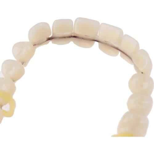 Resin Teeth Lower A2 28Pcs / Set Artificial Contoured Denture Tool Denture Upper