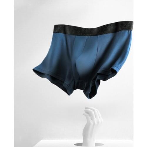 Men Boxer Shorts Underwear Modal Breathable Mens Boxer Briefs Sexy Man Boxers Man Long Lycra Pack Thin U Pouch Mens Boxers Set