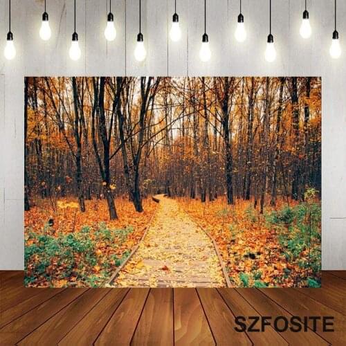 Autumn Deciduous Forest Path Photography Backdrop FamilyTake Pictures Vinyl Landscape Background Children Custom Birthday Banner