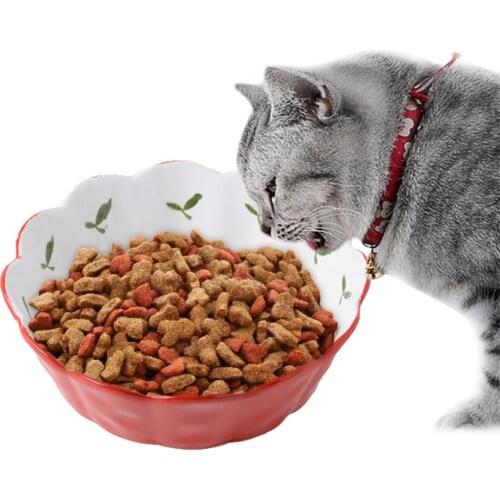 Bowls For Dogs Legendog China