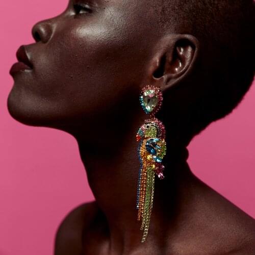 Vodeshanliwen Multicolor Rhinestone Parrot Long Earrings 2019 Trendy Crystal Tassels Earrings For Women Jewelry Accessory