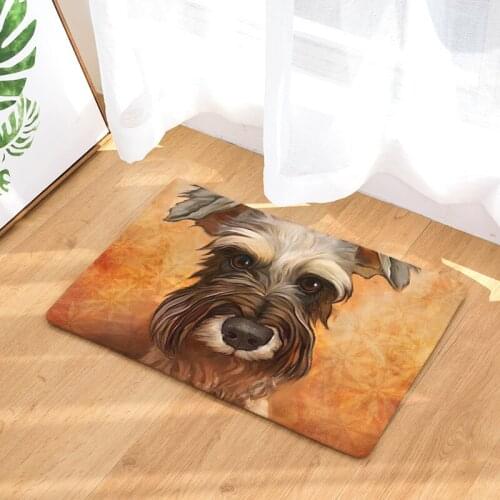 Funny Pit Bull Entry Hallway Mat Chihuahua Bull Terrier Porch Schnauzer Basset Hound Living Room Carpet 40X60cm Coral Fleece Rug