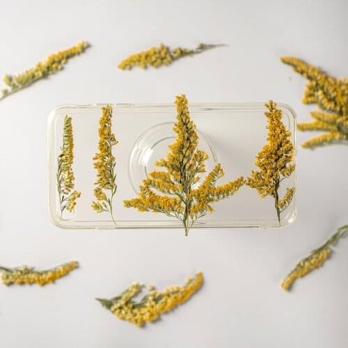60pcs Pressed Dried Flower Solidago decurrens Lour Herbarium For Face Make UP Nail Art Jewelry Bookmark Phone Case Card DIY