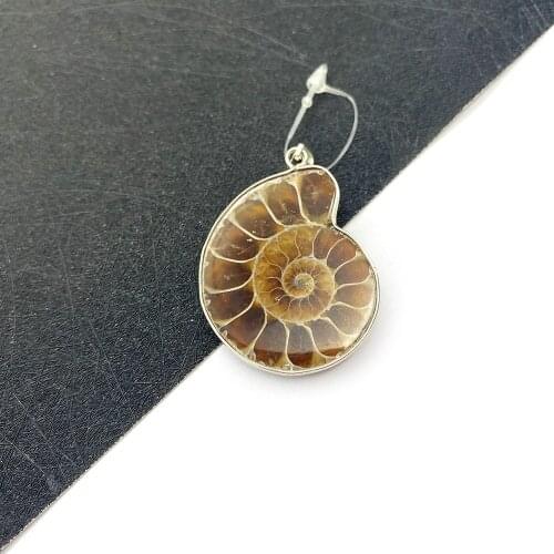 Natural Shell Conch Pendant Snail Shape Jewelry Accessories Edge DIY Handmade Necklace Bracelet Jewelry Gift Designer Charms